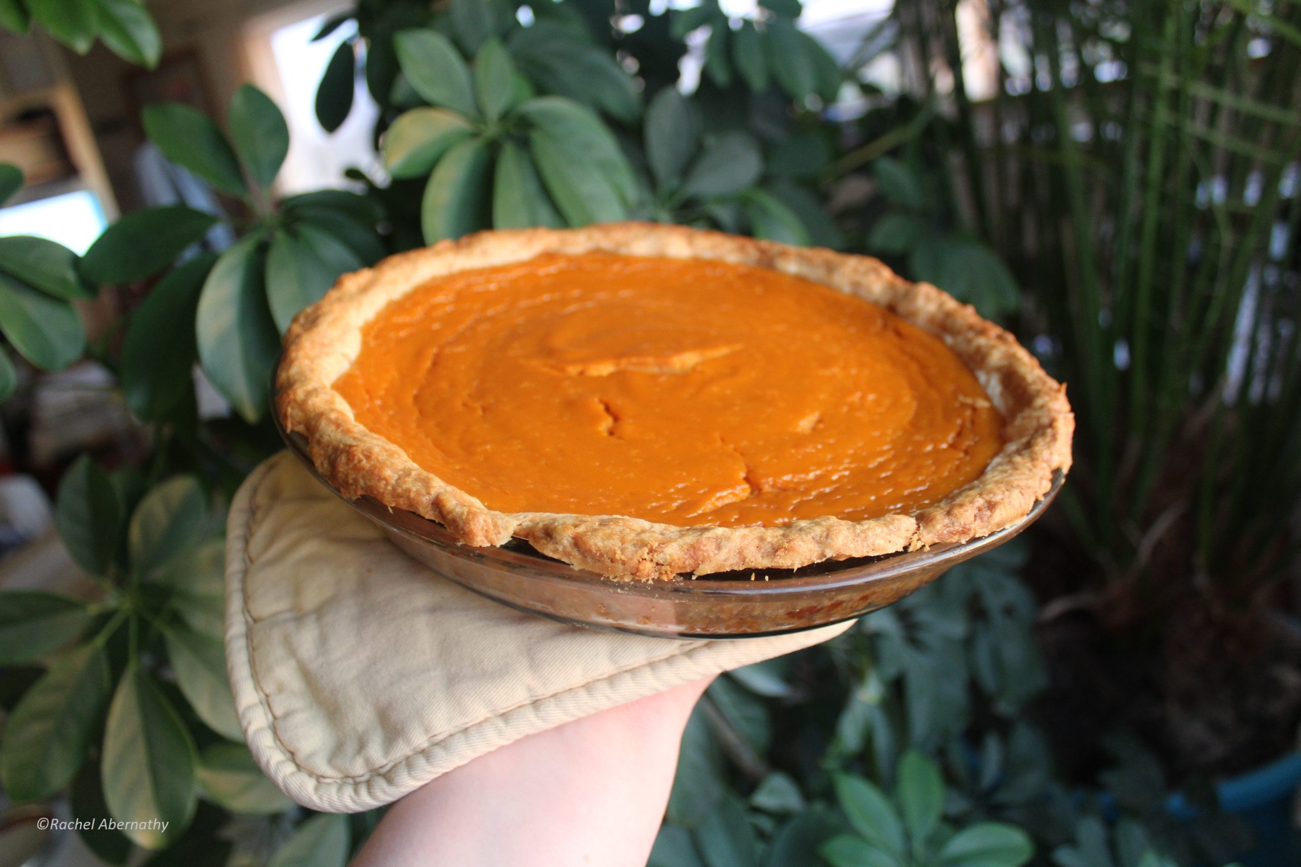 Butternut Squash Pie Recipe Without Sweetened Condensed Milk