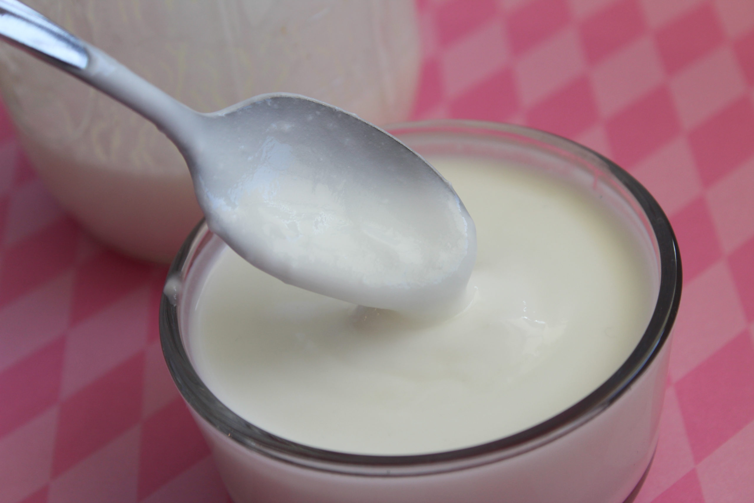 Spoon dipping into creamy homemade goat milk yogurt.