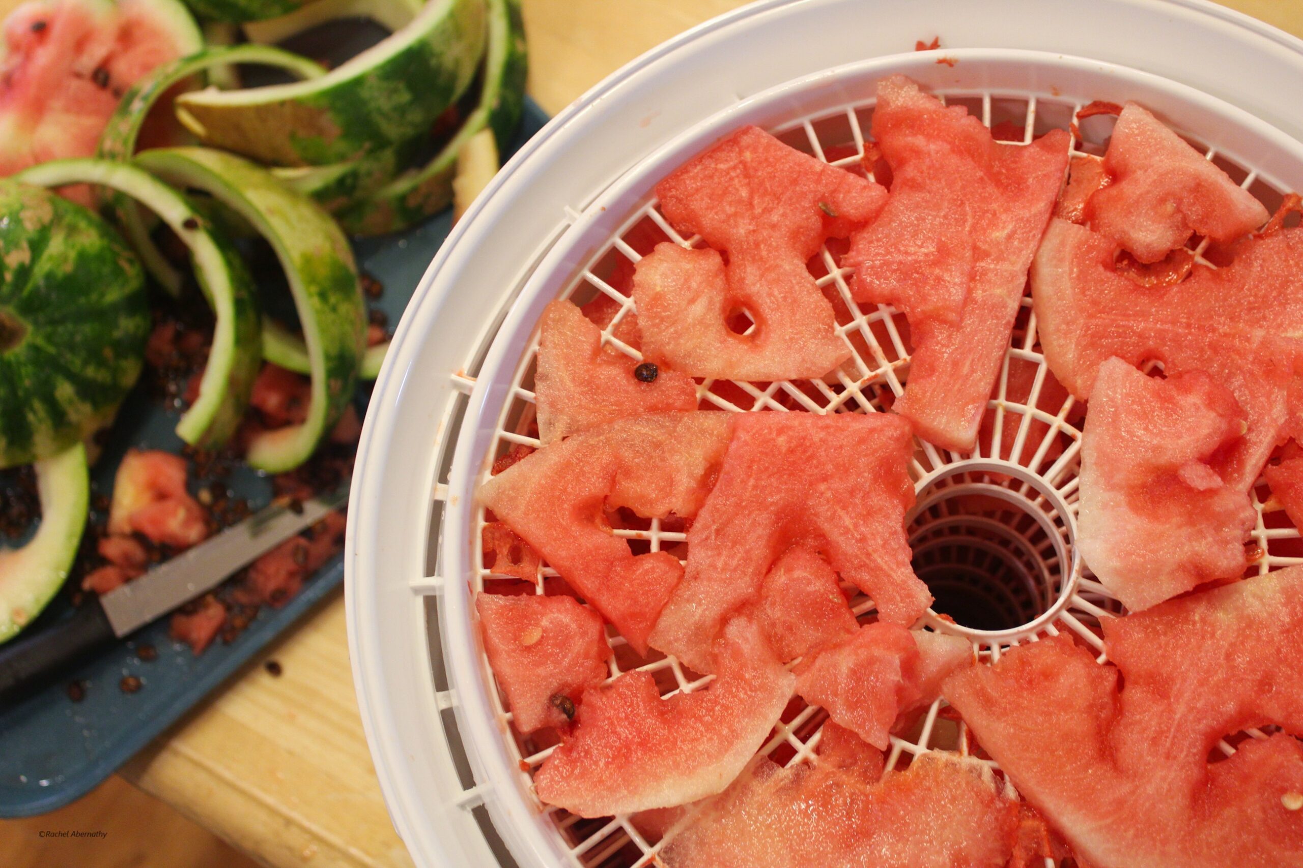 A dehydrator filled with slices of red watermelon with watermelon rinds in the background.